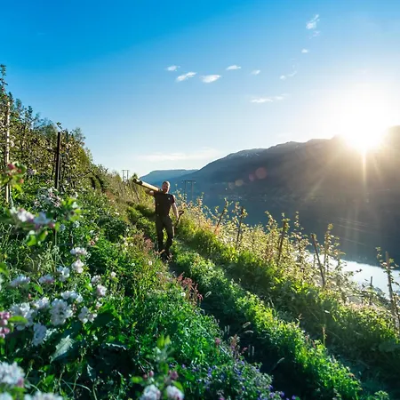 Trolltunga Atmosphere * Odda